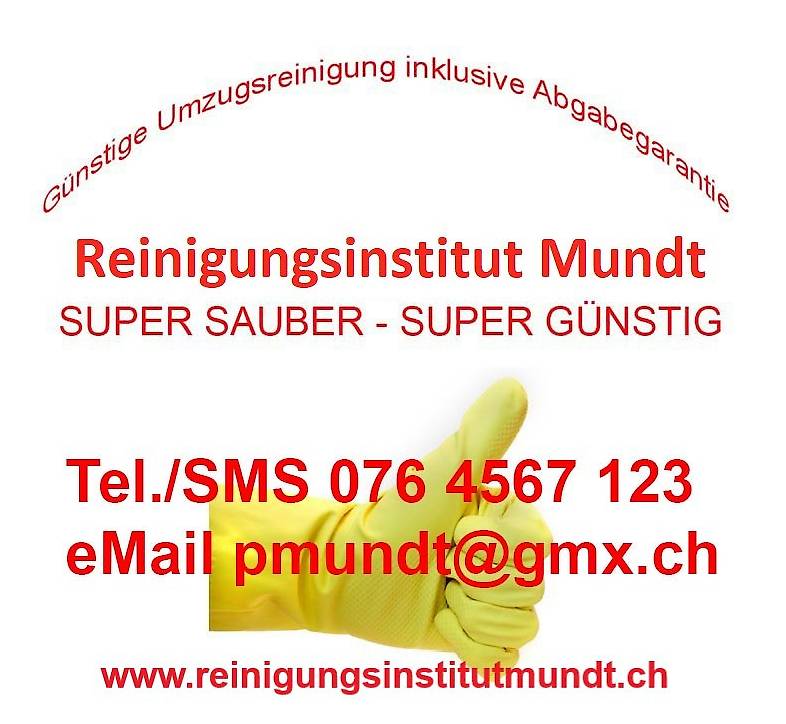 Umzugsreinigung Endreinigung Bezirk Zürich