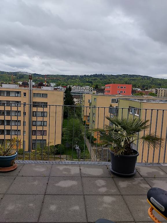DIS- Umzugsreinigung